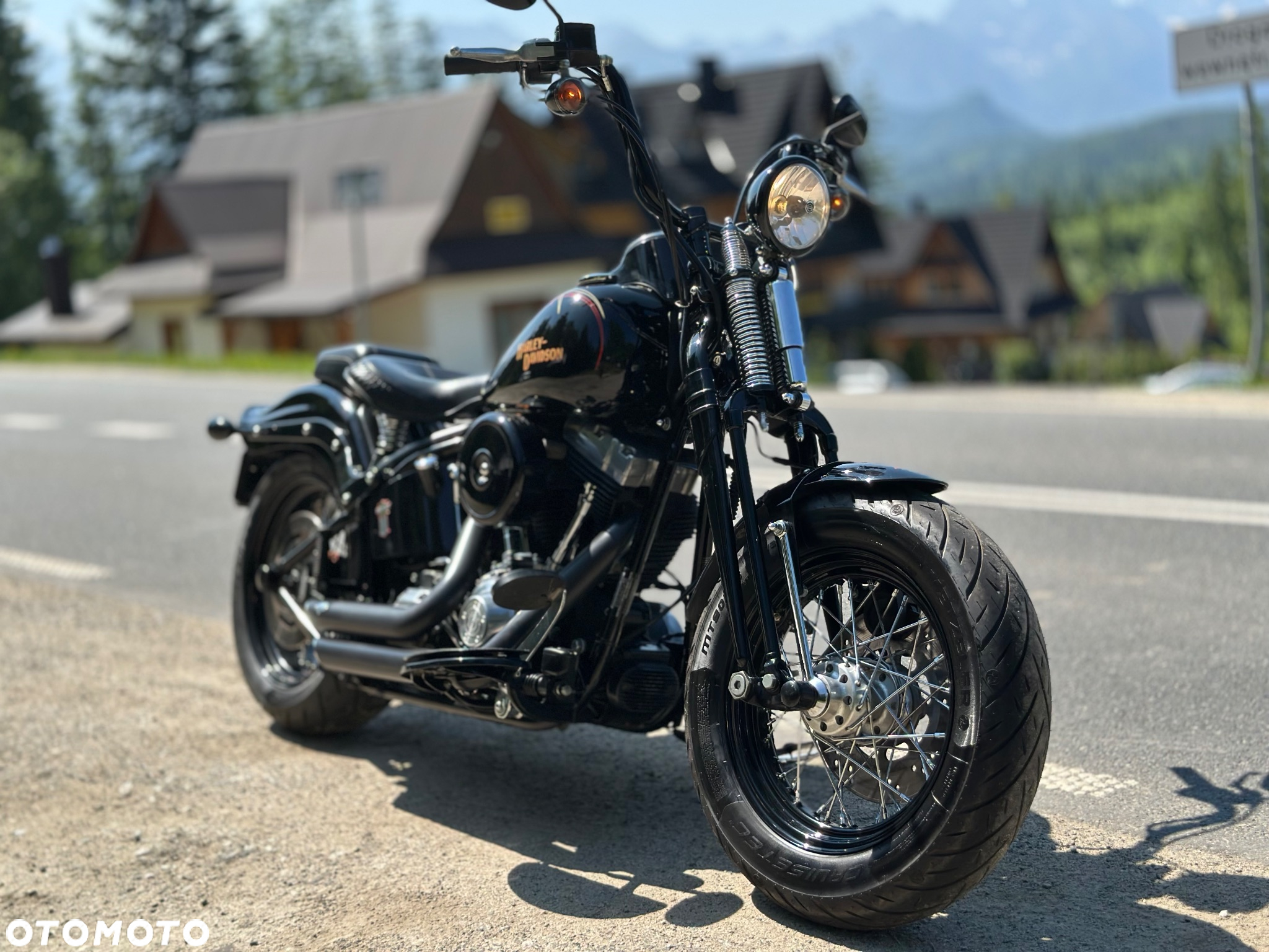Harley-Davidson Softail Cross Bones - 3