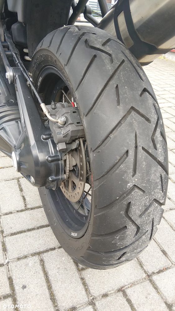 Triumph Tiger - 19