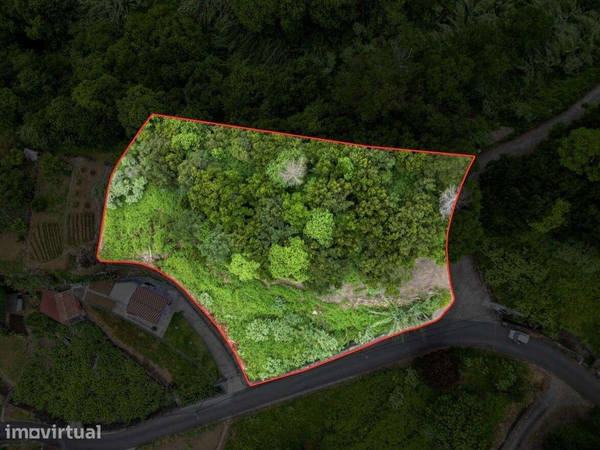 Terreno rústico com uma área de 2.302 m2 - Grande imagem: 3/15