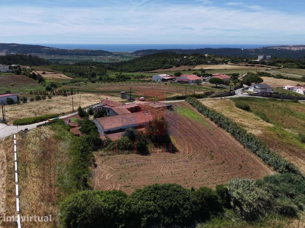 Moradia em Bárrio, Alcobaça (Costa de Prata) - Grande imagem: 2/29