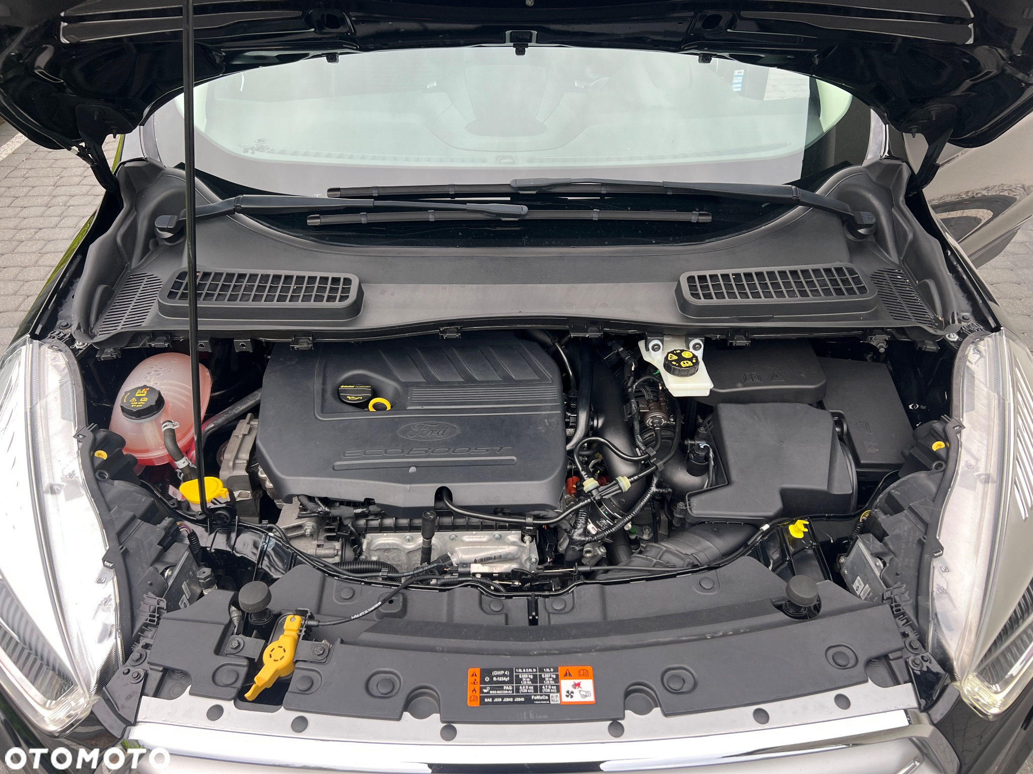 Ford Kuga 1.5 EcoBoost 4x4 Individual - 22