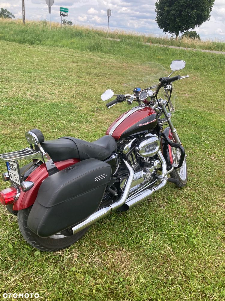 Harley-Davidson Sportster Custom 1200C - 5