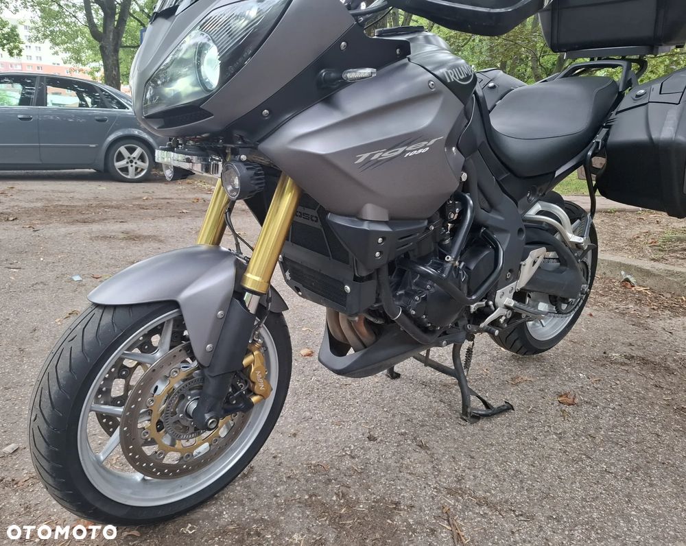Triumph Tiger - 11