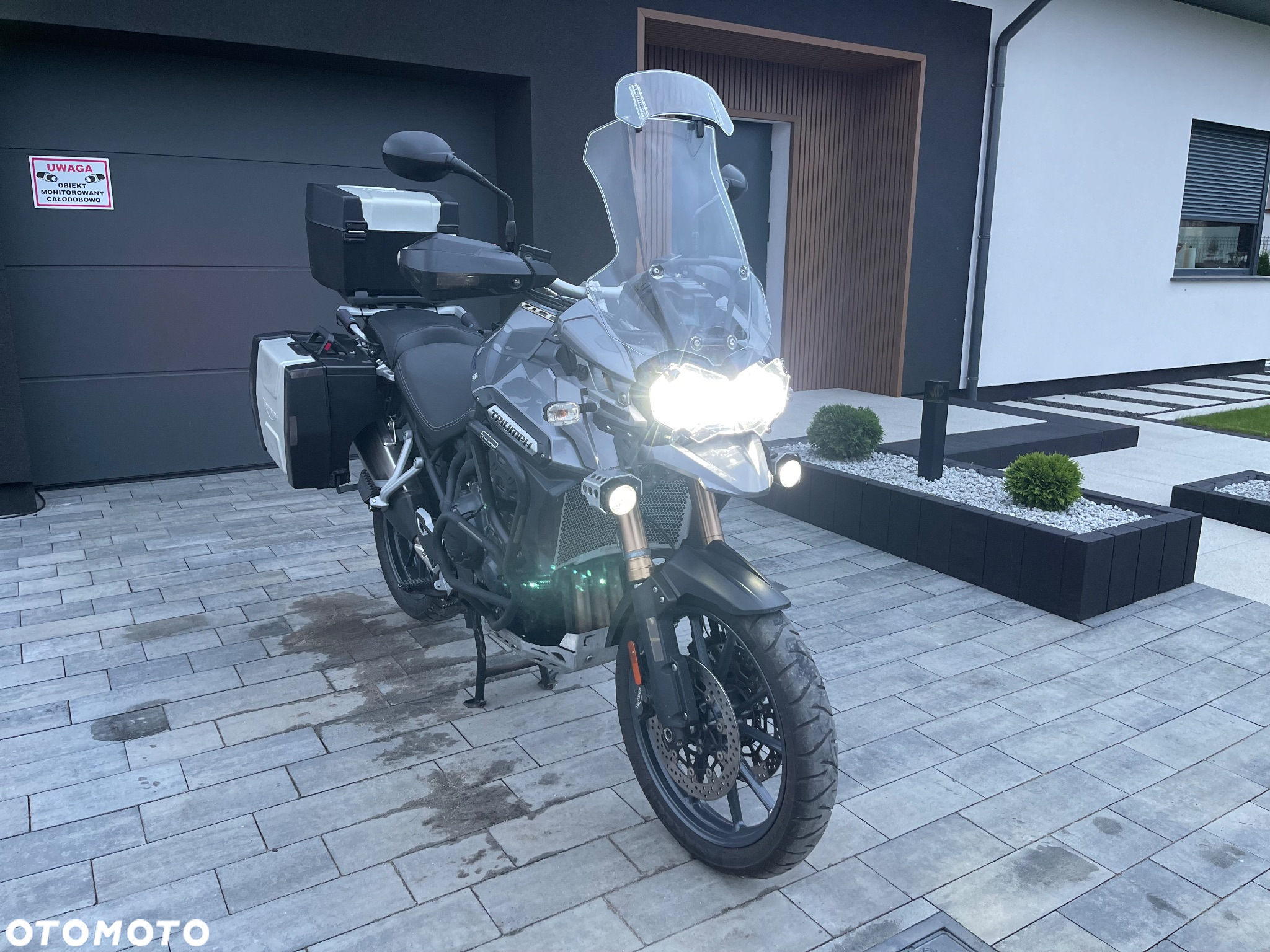 Triumph Tiger - 13