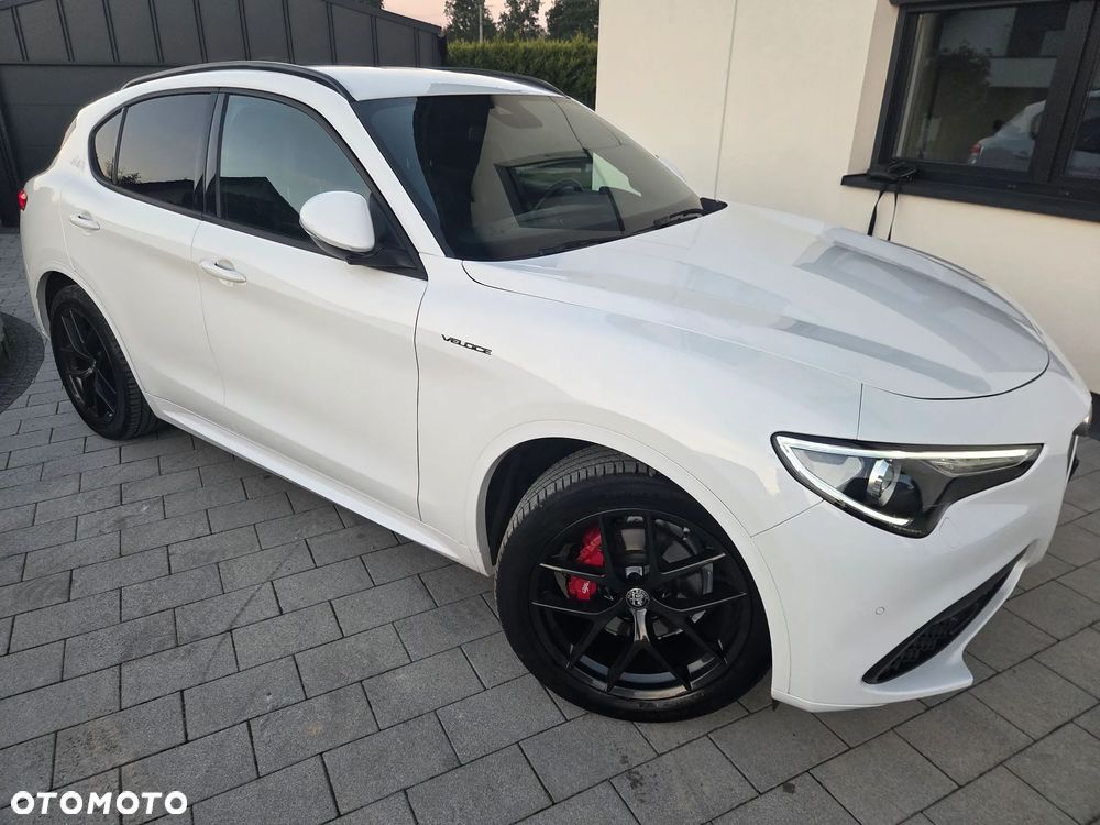 Alfa Romeo Stelvio 2.0 Turbo Veloce Q4 - 15