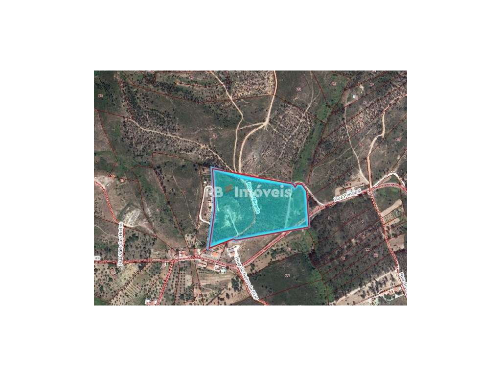 Terreno com 38360m² junto à Barragem de Castelo de Bode - Tomar - Grande imagem: 2/30