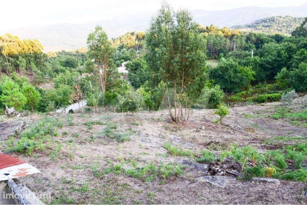 Moradia T3 para recuperar - Grande imagem: 3/10