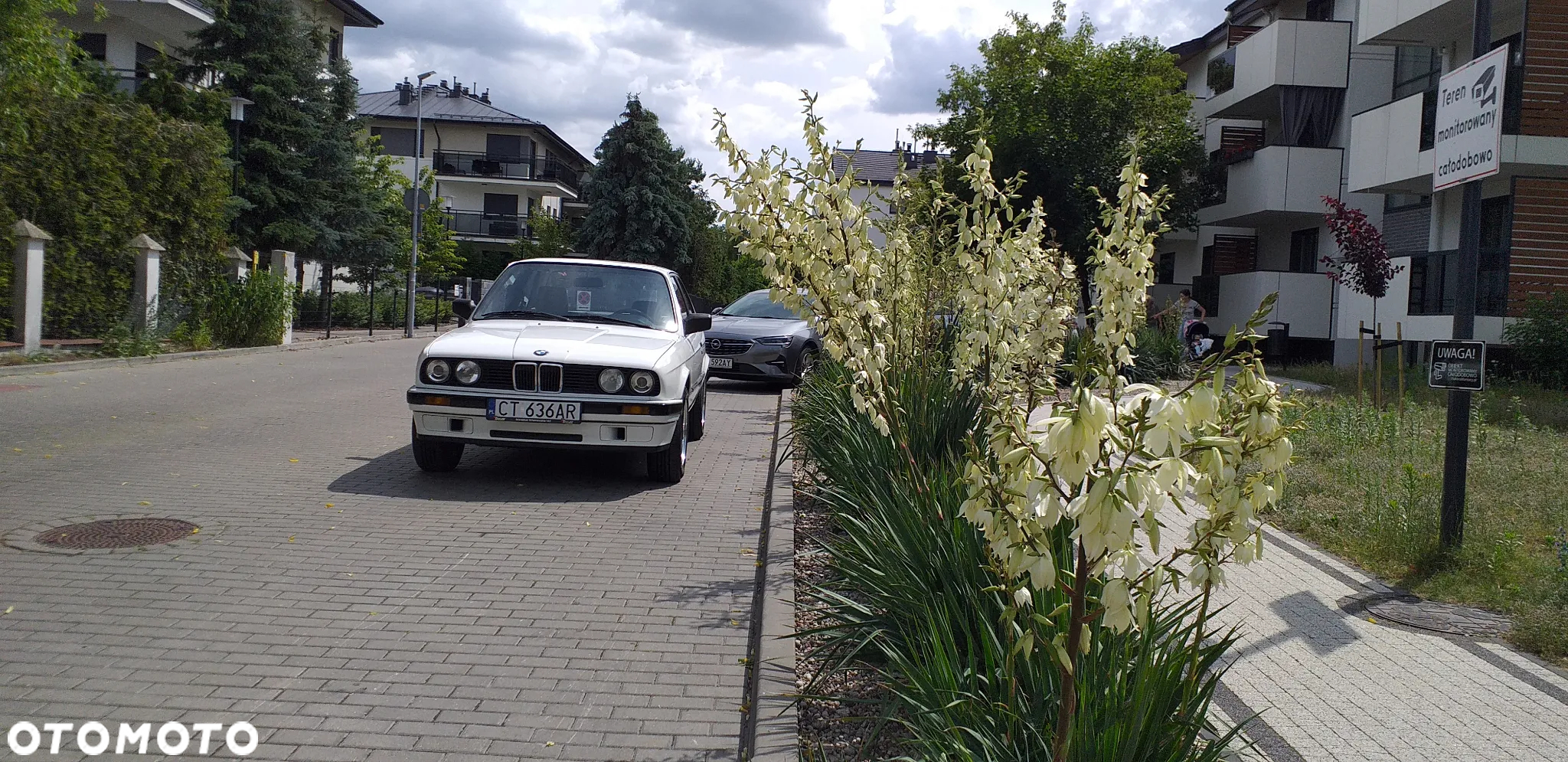 BMW Seria 3 318i - 16