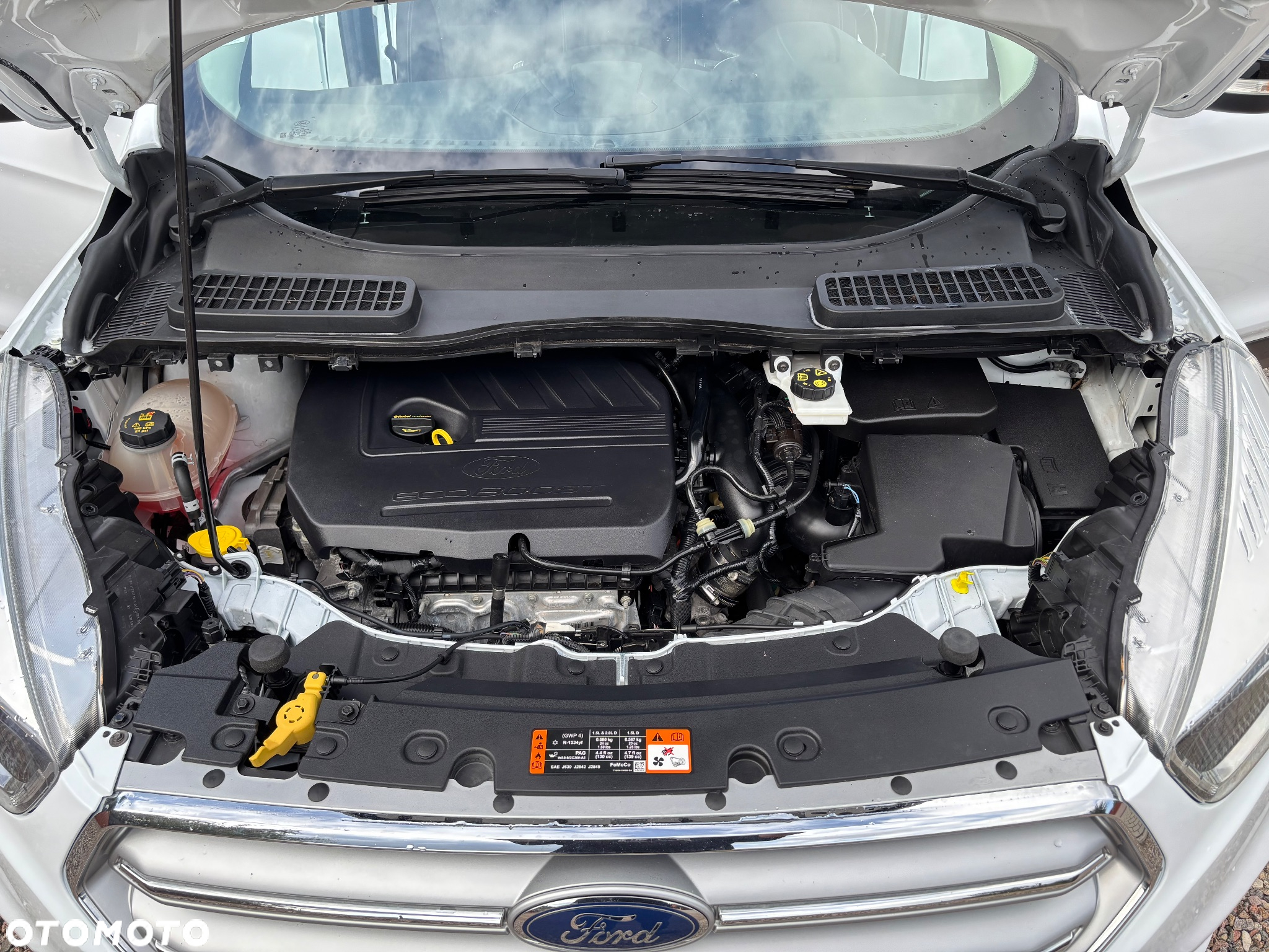 Ford Kuga 1.5 EcoBoost FWD Trend ASS - 18