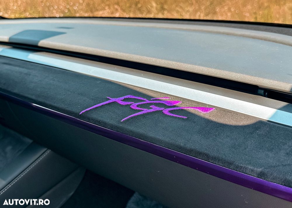 Tesla Model Y AWD Performance - 18