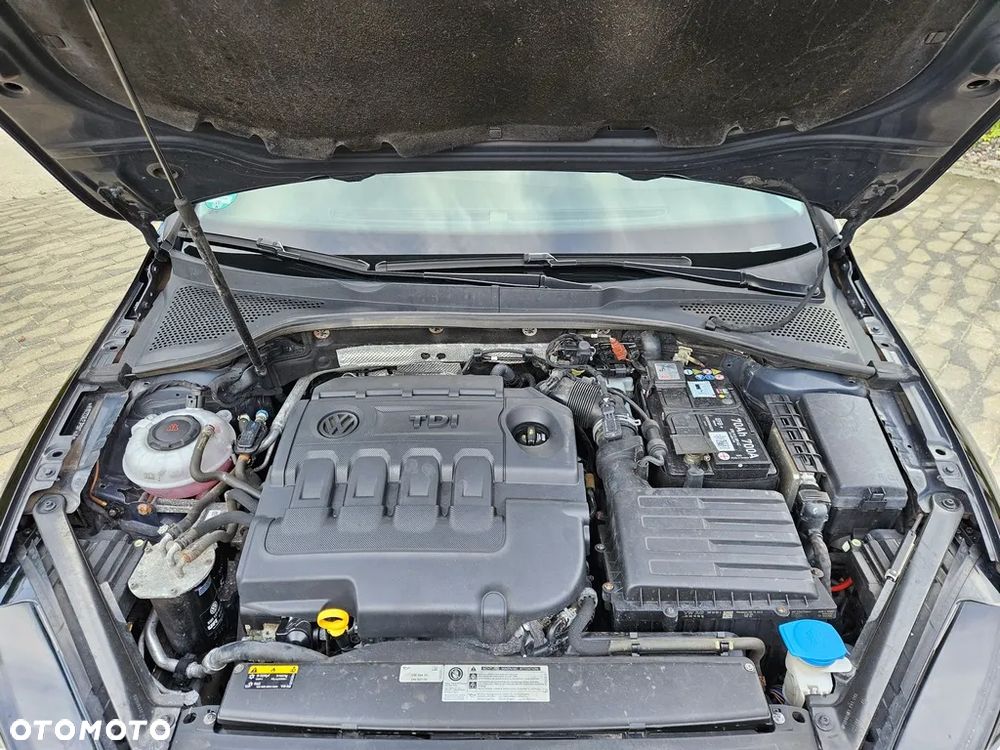 Volkswagen Golf - 39