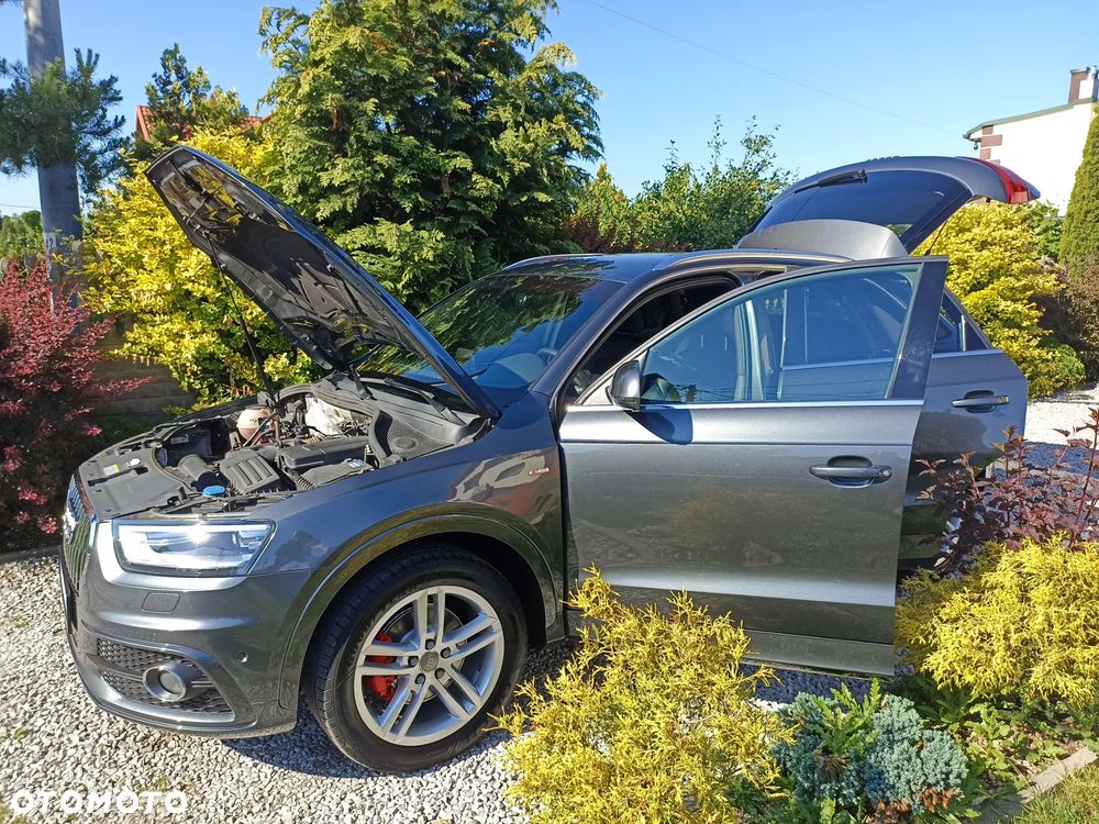 Audi Q3 - 18