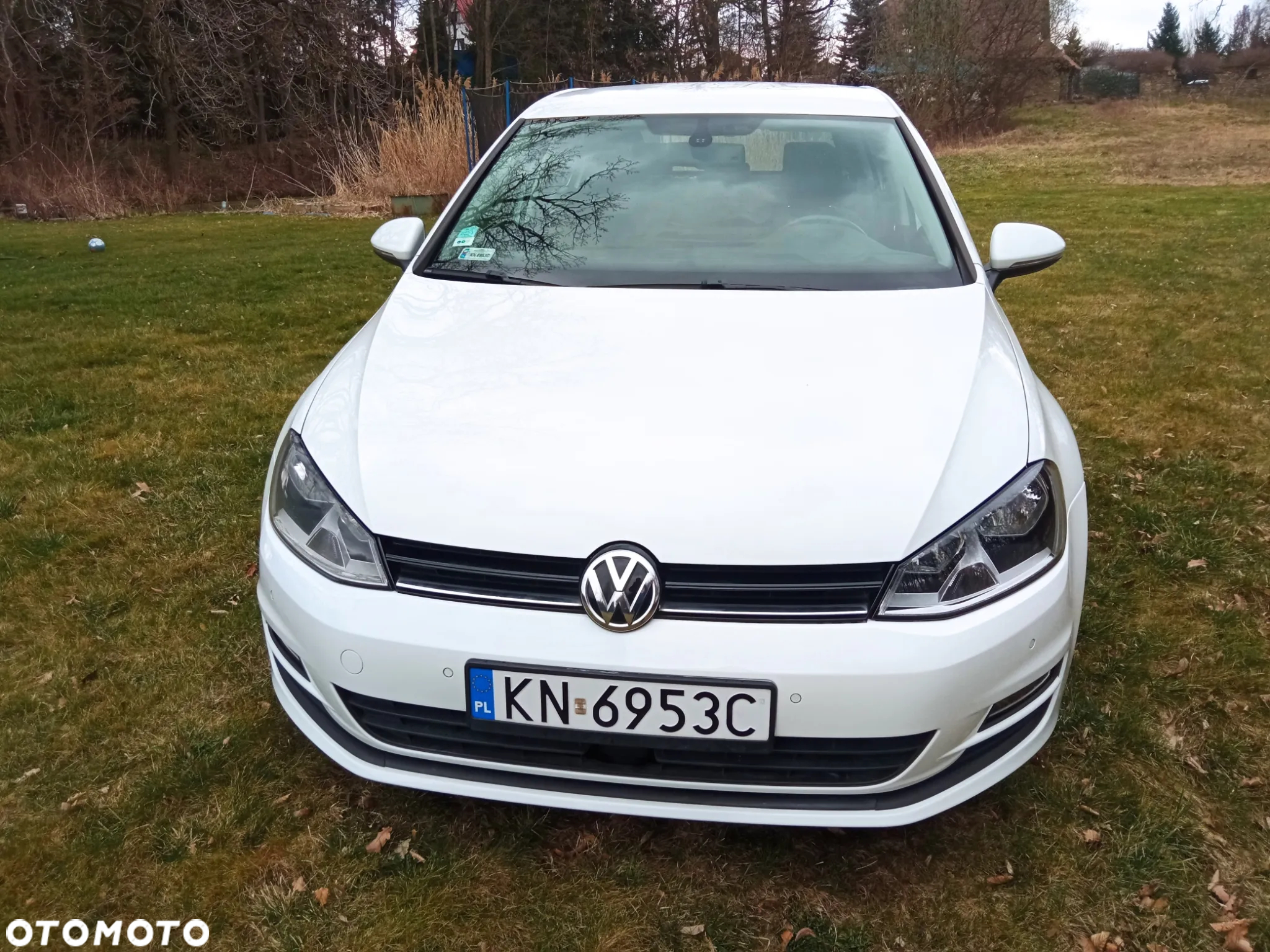 Volkswagen Golf - 8