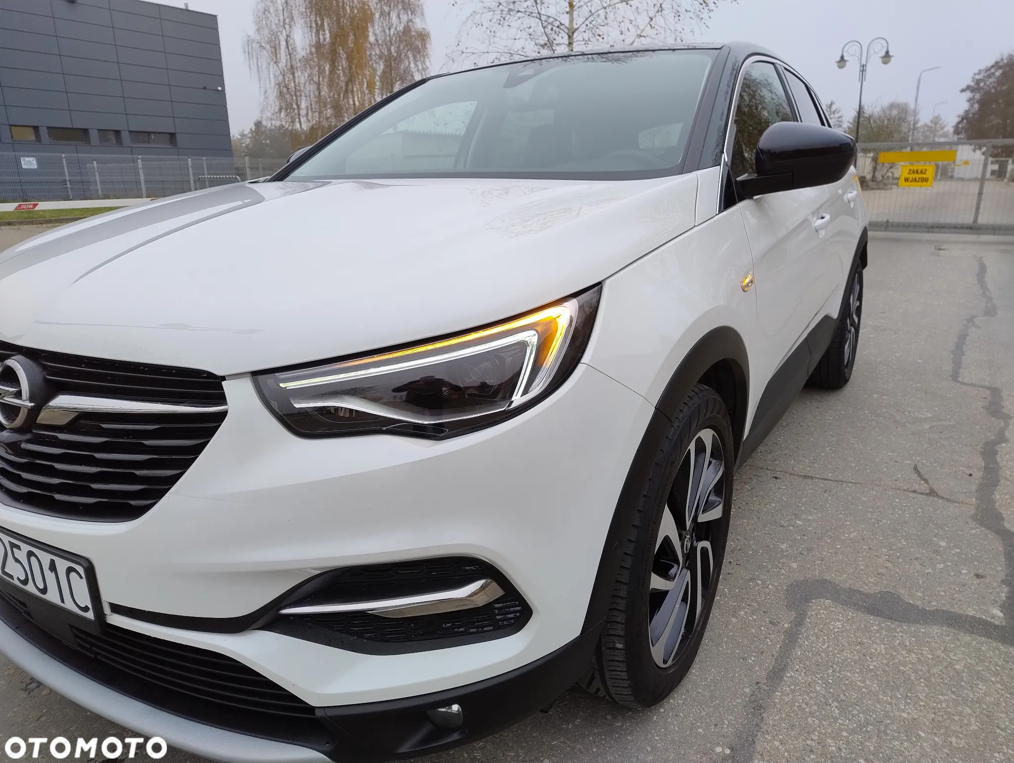 Opel Grandland X 1.6 CDTI Ultimate S&S - 10