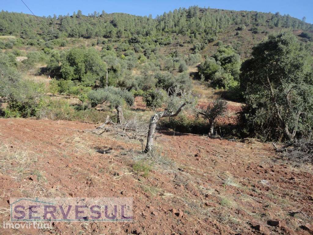 Casa antiga para renovação com área de 74m² em terreno de 2 hectare... - Grande imagem: 4/14