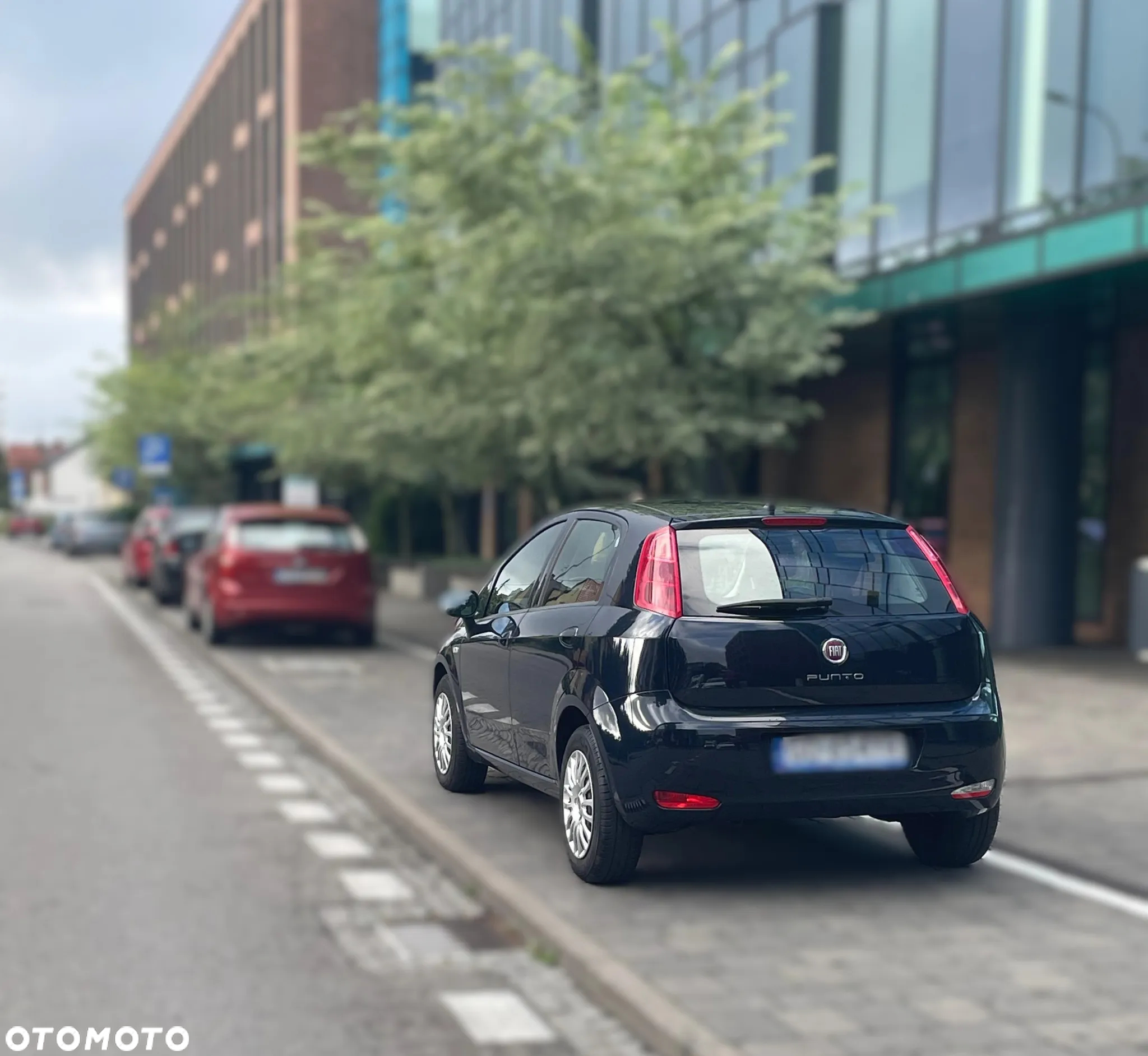 Fiat Punto - 2