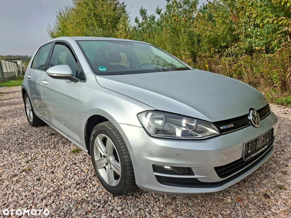 Volkswagen Golf - 21