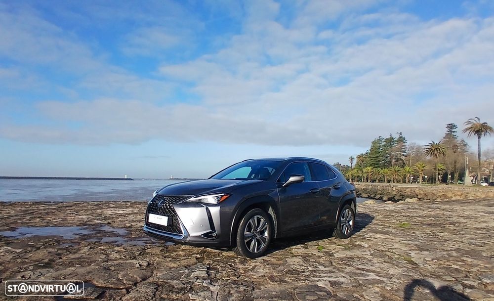 Lexus UX 300e Luxury+TAE+JLL18 - 3