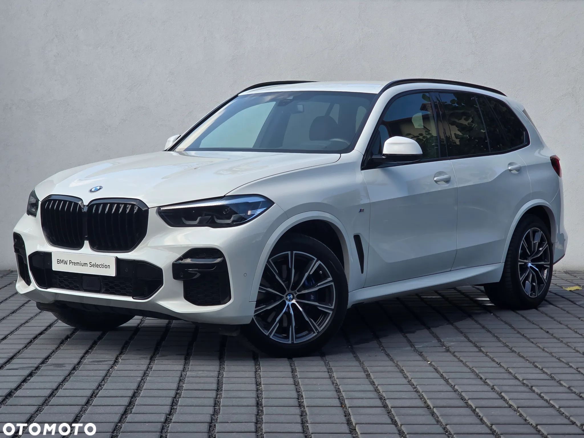 BMW X5 xDrive30d sport - 1