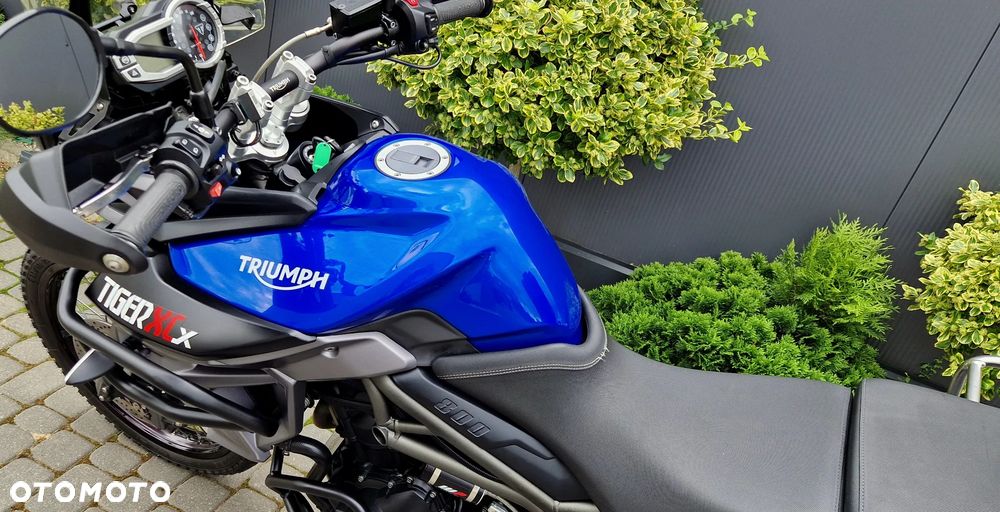 Triumph Tiger - 35