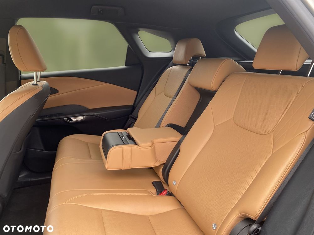 Lexus RX - 13