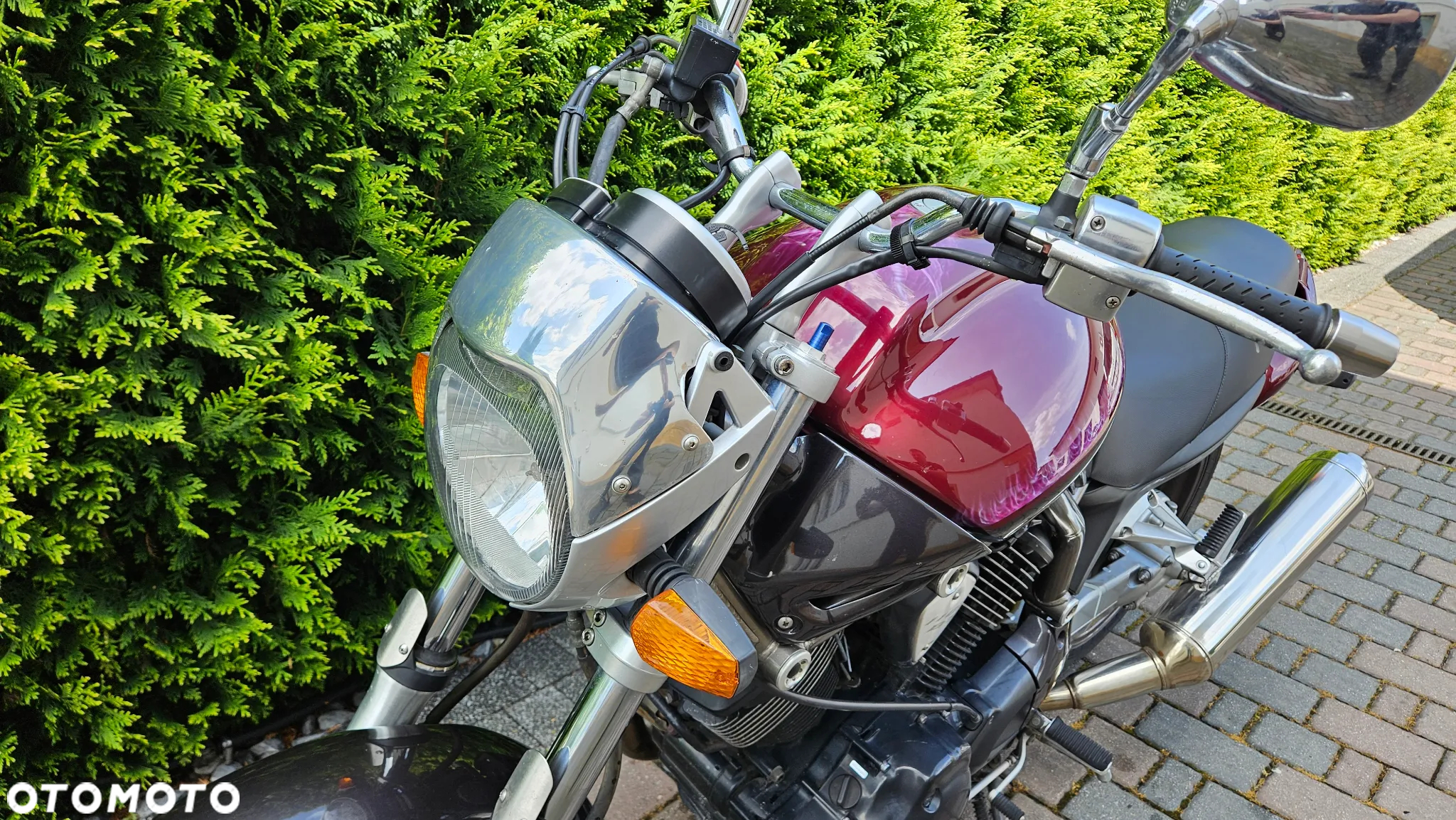 Yamaha Bulldog - 17