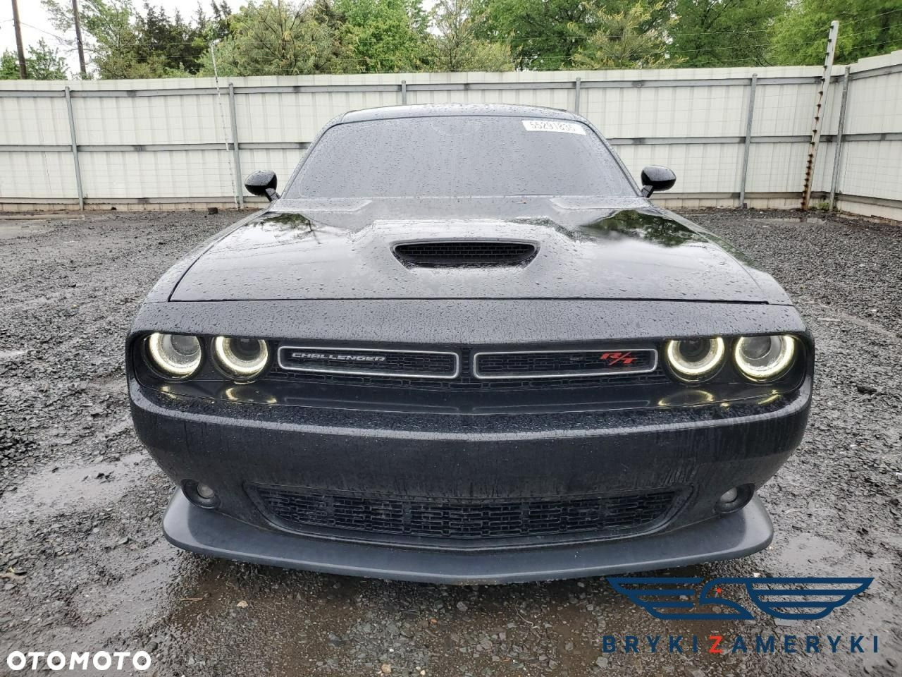 Dodge Challenger - 7