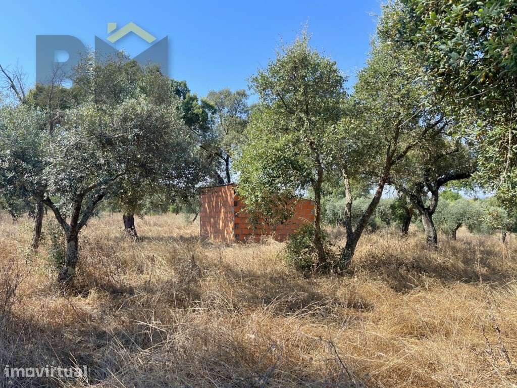 Terreno off-grid com 6500m2 em Toulões, Idanha-a-Nova - Grande imagem: 4/18