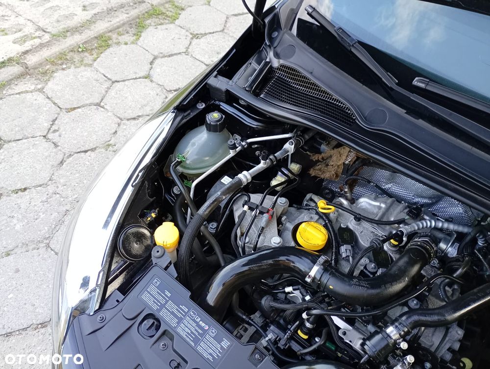 Renault Clio - 30