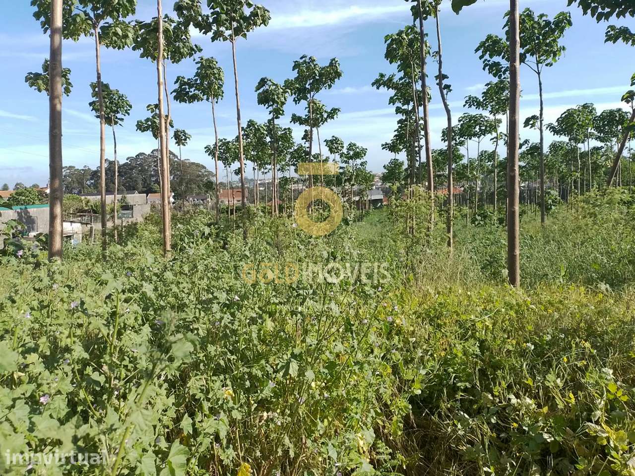 Terreno para Construção - Grande imagem: 2/7