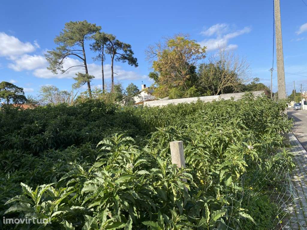 Terreno Urbano para construção de 3 moradias - Azeitão - Grande imagem: 2/9