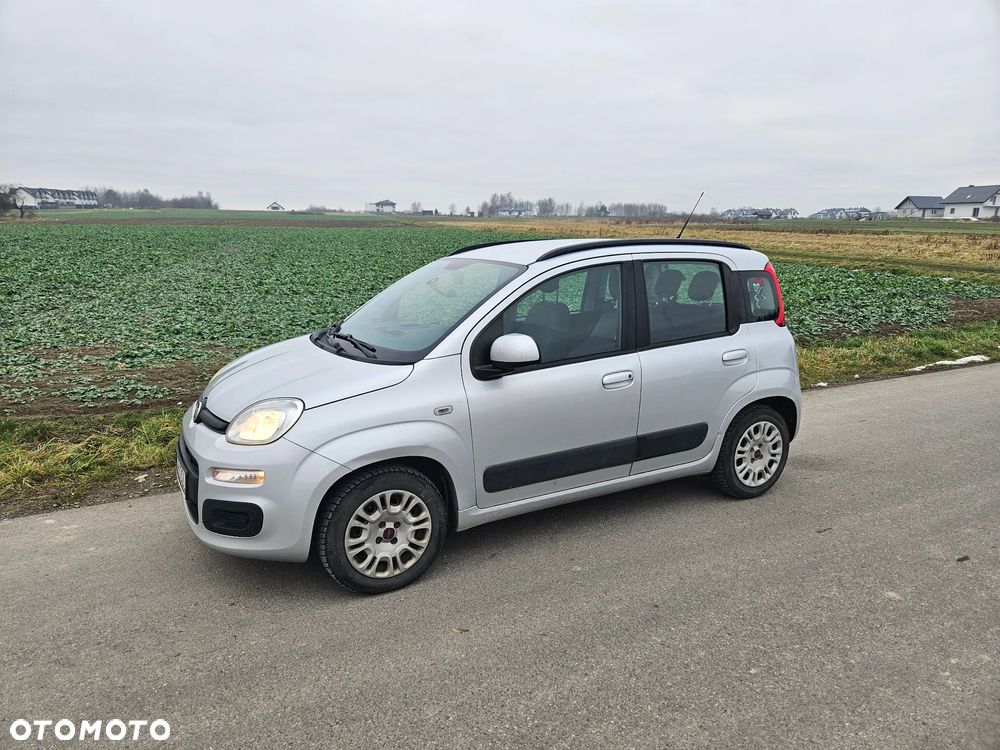 Fiat Panda 1.2 Young - 1