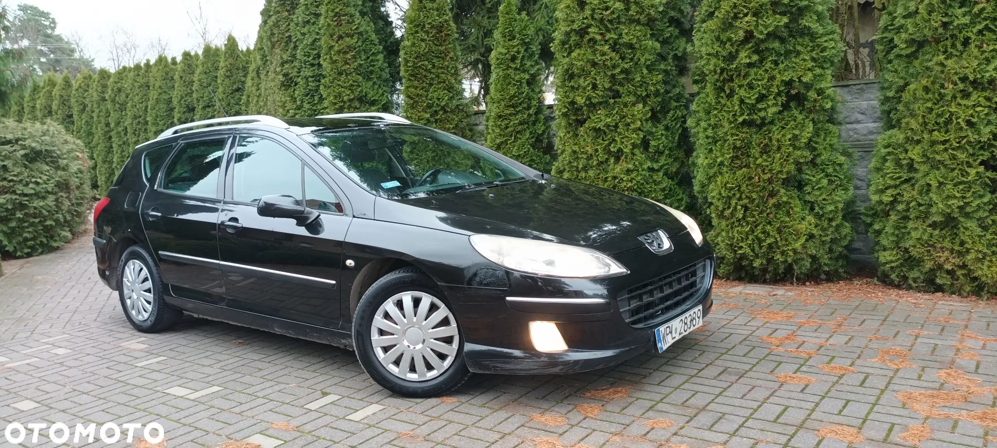 Peugeot 407 2.0 SV Executive - 1