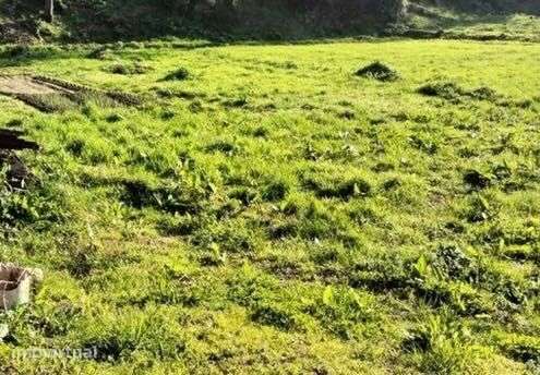 Terreno para cultivo de horta - Grande imagem: 4/4