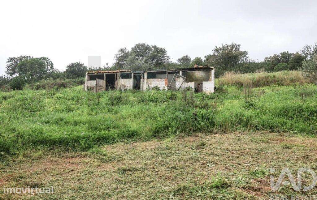 Quinta T2 em Mexilhoeira Grande de 48,88 m2 - Grande imagem: 5/15