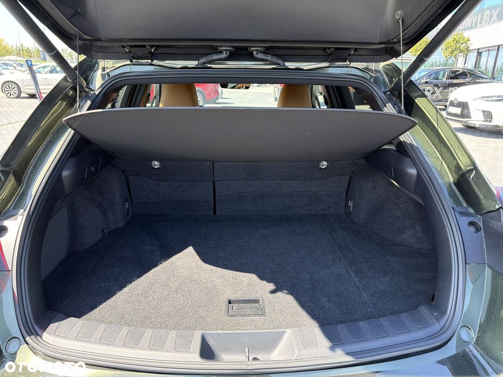 Lexus UX 250h GPF F Sport Design 2WD - 13