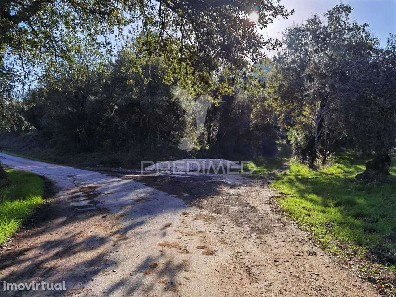 Terreno Rústico de 9.680 m² em Arneiro das Milhariças - Grande imagem: 5/25