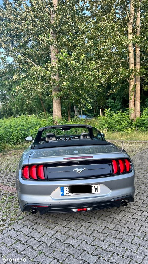 Ford Mustang - 18