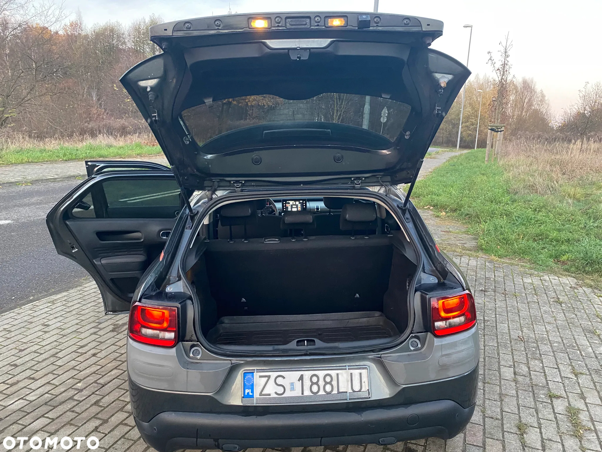 Citroën C4 Cactus 1.6 Blue HDi Shine - 17