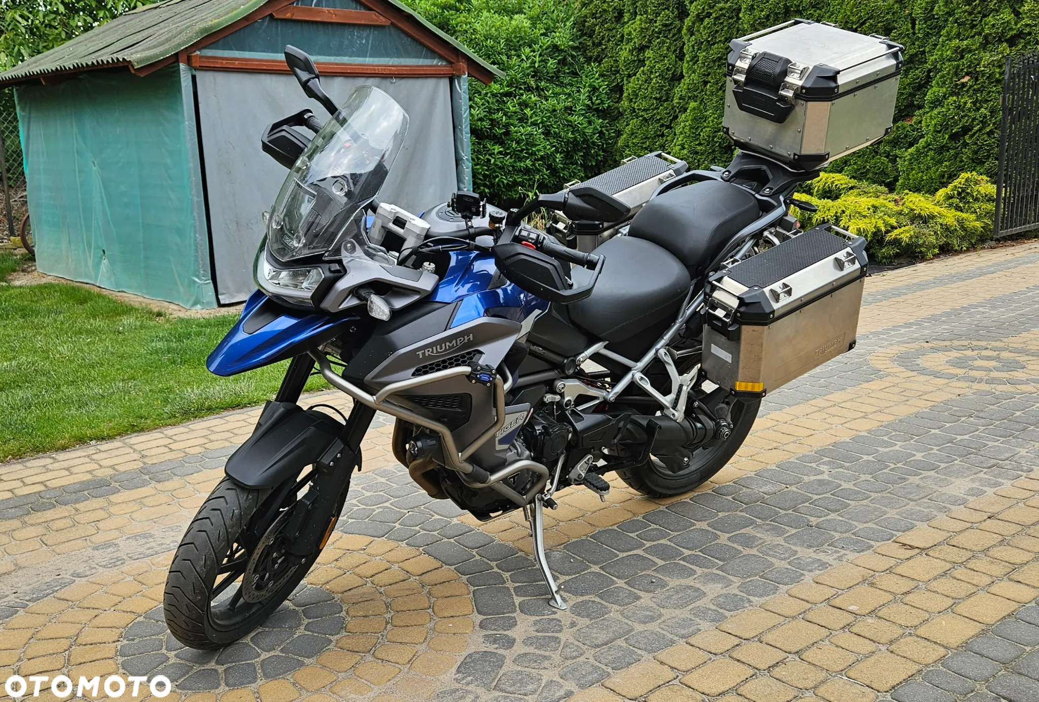 Triumph Tiger