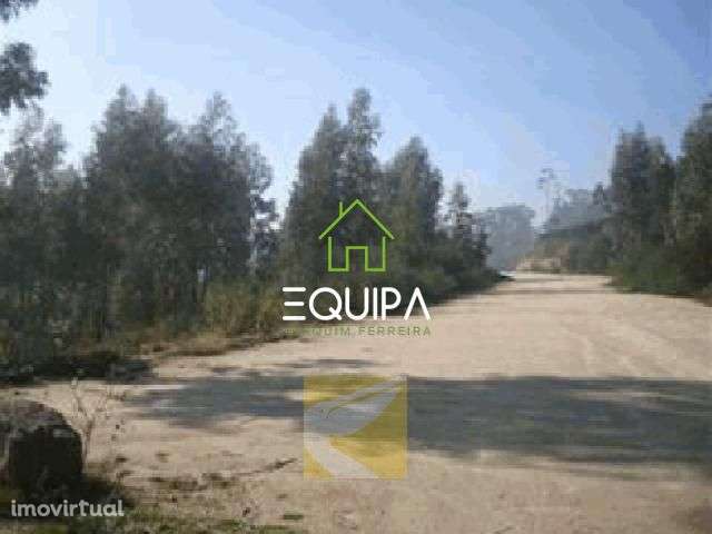 Terreno p/construção na Seroa- Paços de Ferreira - Grande imagem: 5/8