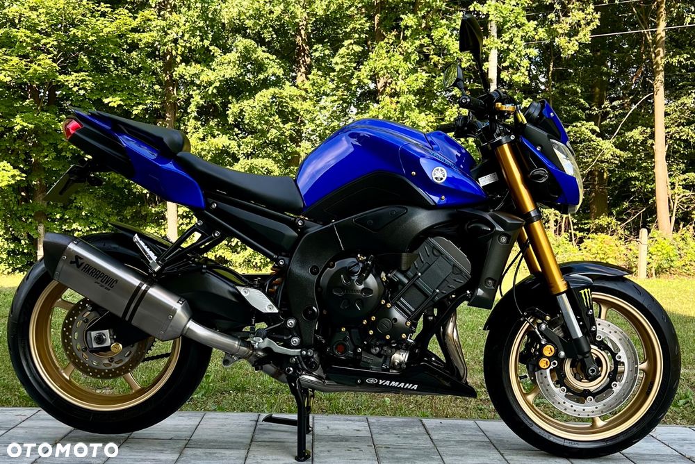 Yamaha FZ8 - 6