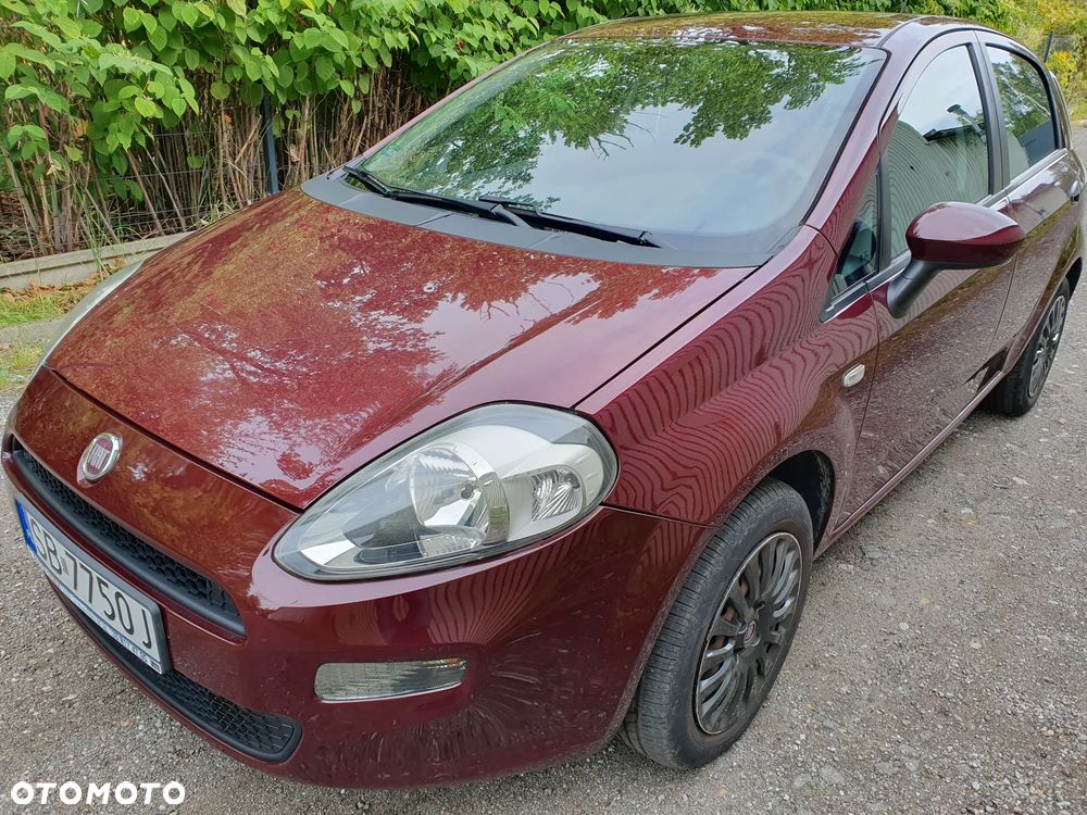 Fiat Punto 1.2 Easy - 1