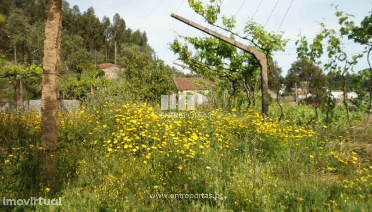 Venda Moradia V2 em Pedra para restauro, Vila Boa do Bispo, Marco de C - Grande imagem: 4/12