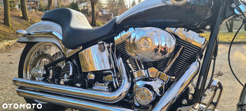 Harley-Davidson Softail - 15