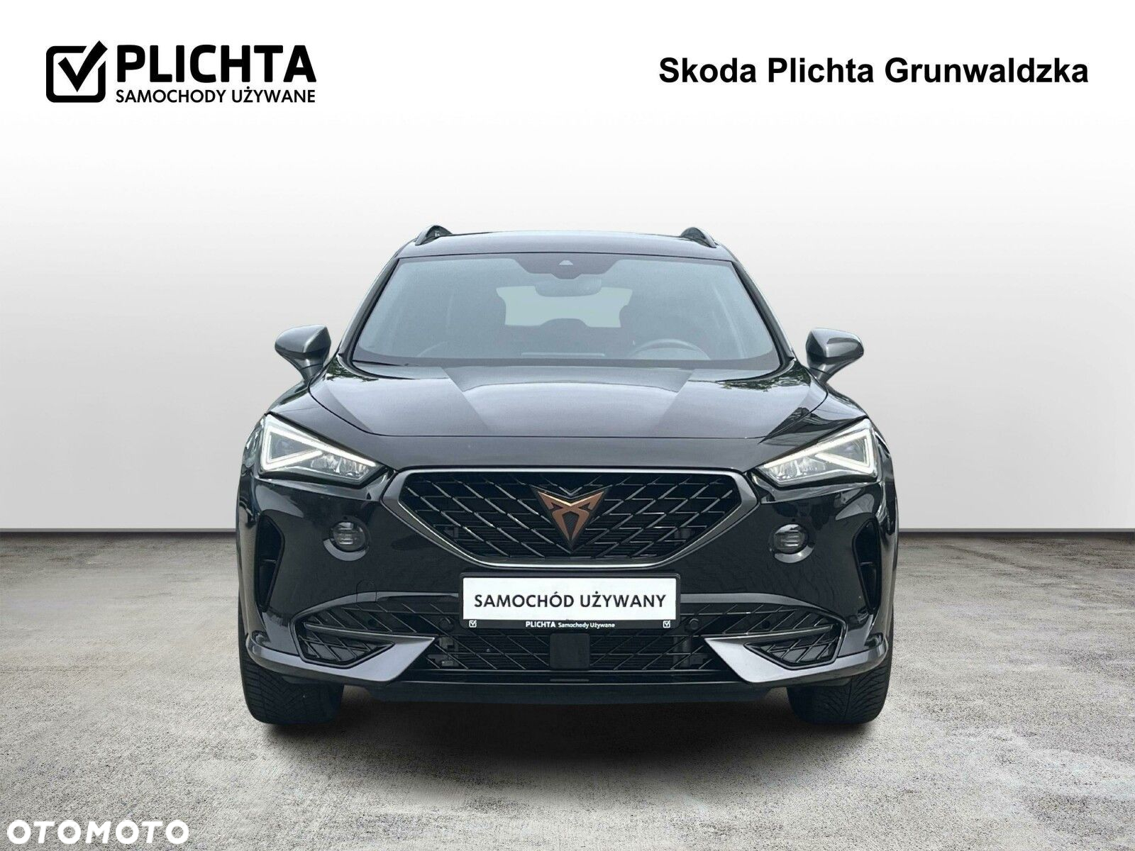 Cupra Formentor 2.0 TSI 4Drive DSG - 8