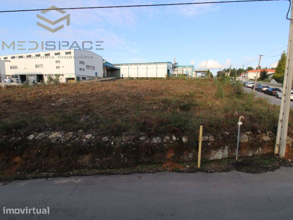 Terreno Industrial em Gaia , Avintes ( Fábrica Barbosa e Almeida) - Grande imagem: 3/23