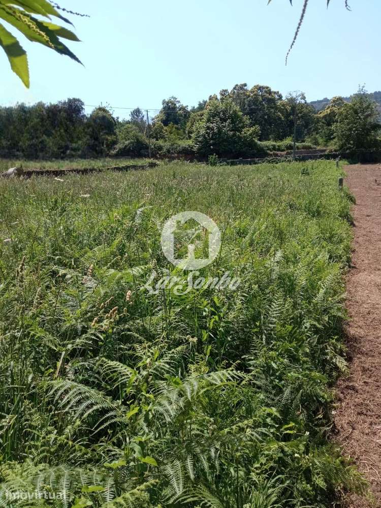 Terreno para Construção de Moradia - Grande imagem: 5/18