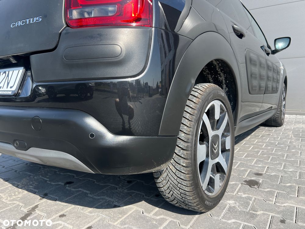 Citroën C4 Cactus Pure Tech 110 Stop&Start Rip Curl - 15
