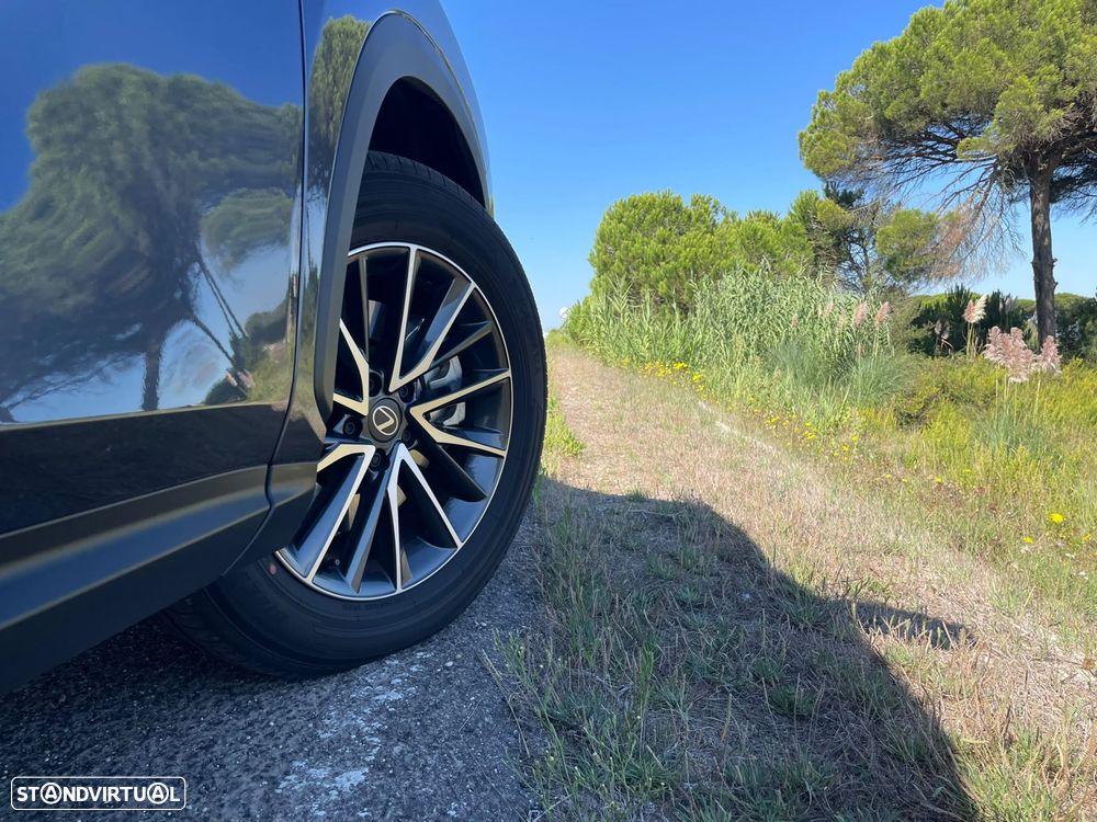 Lexus NX 450h+ Executive Plus - 37